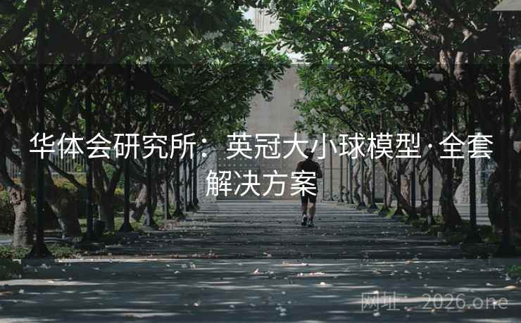 华体会研究所:英冠大小球模型·全套解决方案